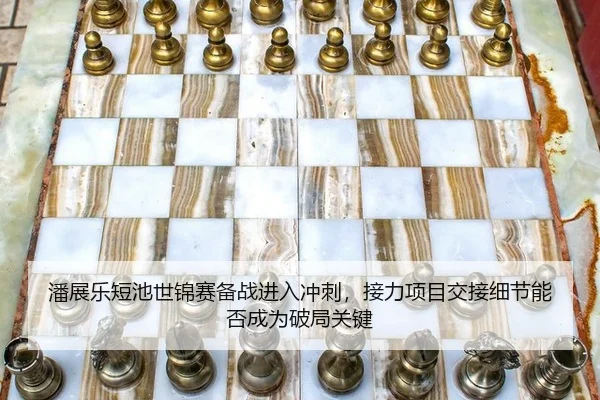潘展乐短池世锦赛备战进入冲刺，接力项目交接细节能否成为破局关键